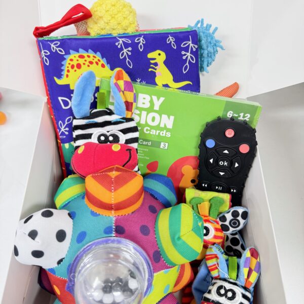 BOX 1 DE ESTIMULACIÓN DE 6-12m