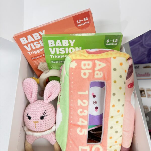 BOX 2 DE ESTIMULACIÓN DE 6-12m